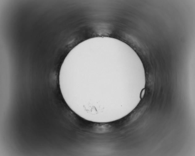 X0000096150321200802151359