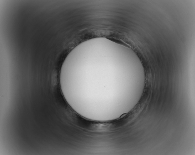 X0000096150323200802151359