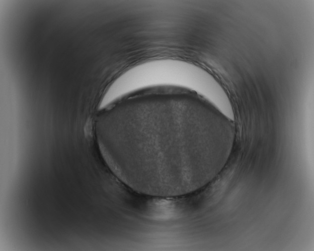 X0000096150325200802151359