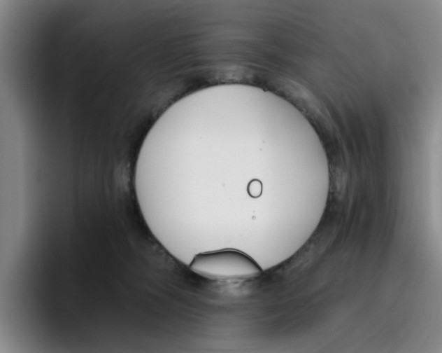 X0000096150326200802151359