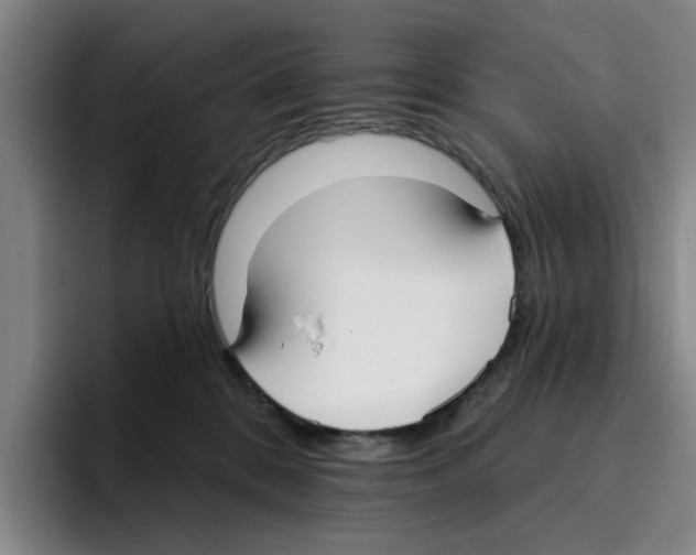 X0000096150328200802151359