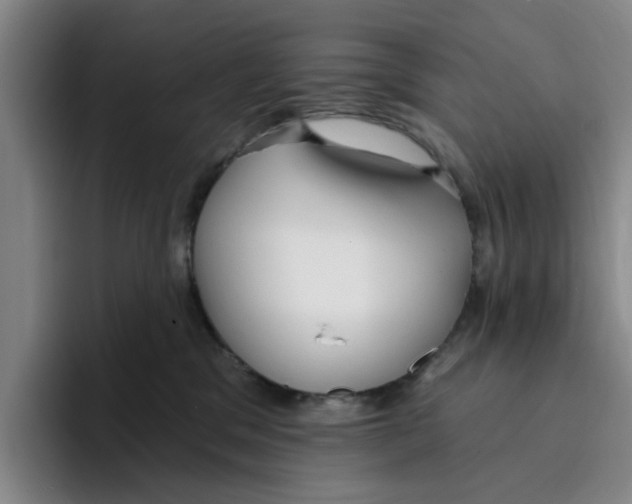 X0000096150329200802151359