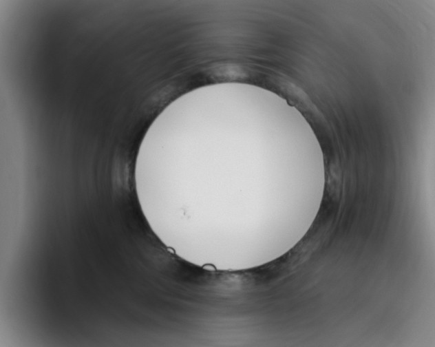 X0000096150330200802151359