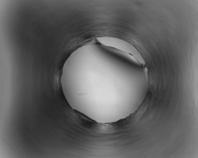 X0000096150333200802151359