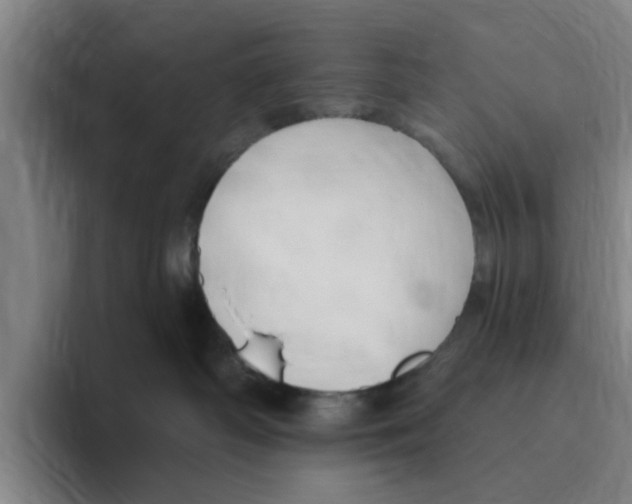 X0000096150334200802151359