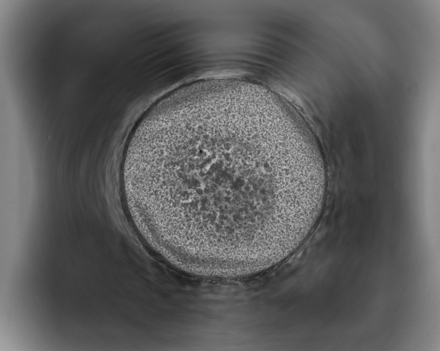 X0000096150337200802151359