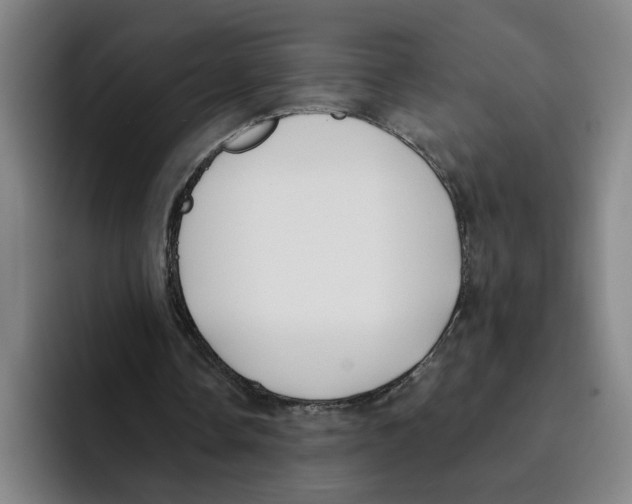 X0000096150338200802151359