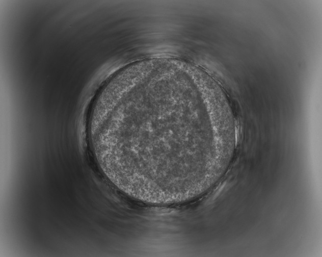 X0000096150339200802151359