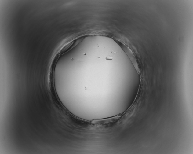 X0000096150340200802151359