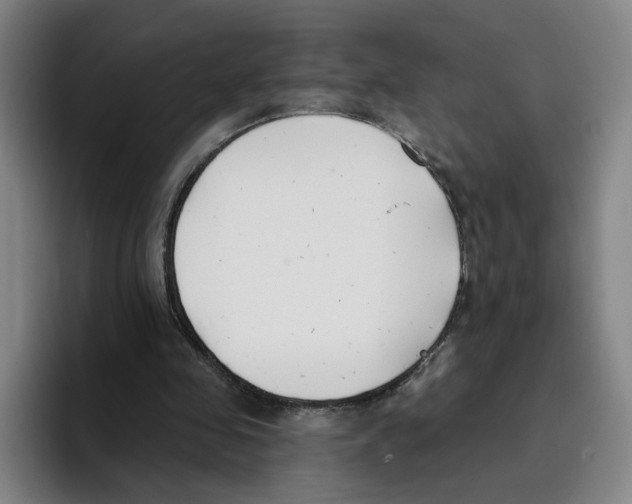 X0000096150341200802151359