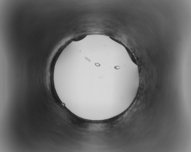 X0000096150342200802151359