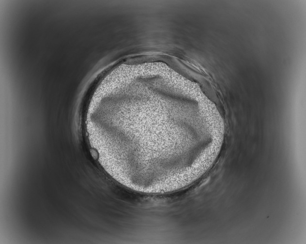 X0000096150343200802151359