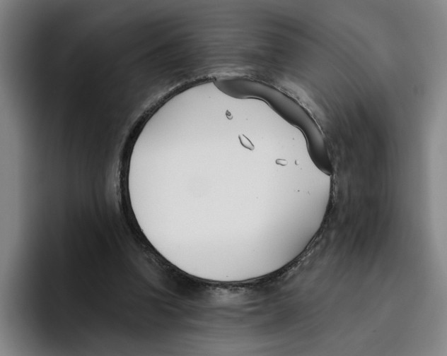 X0000096150346200802151359