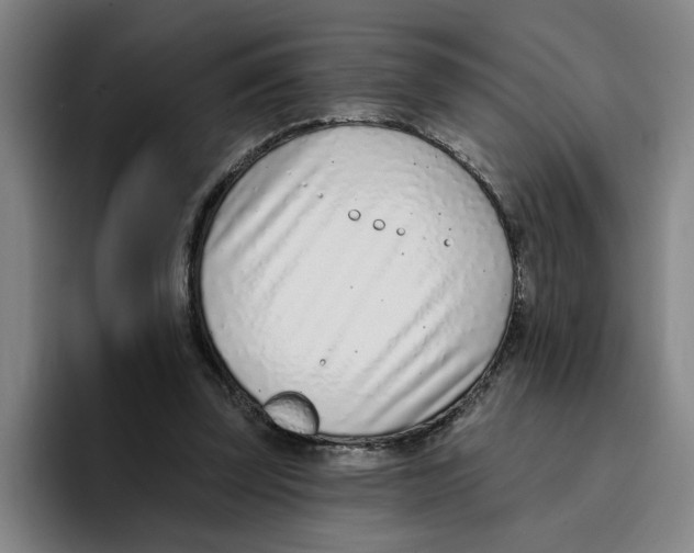 X0000096150347200802151359