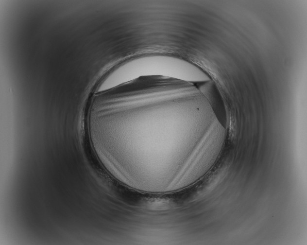 X0000096150348200802151359