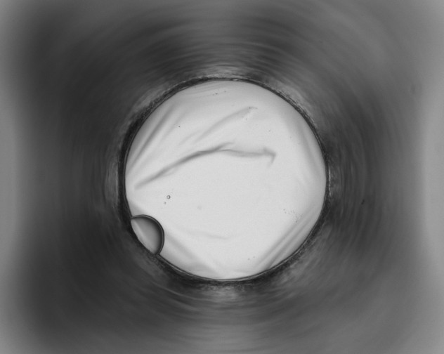 X0000096150349200802151359