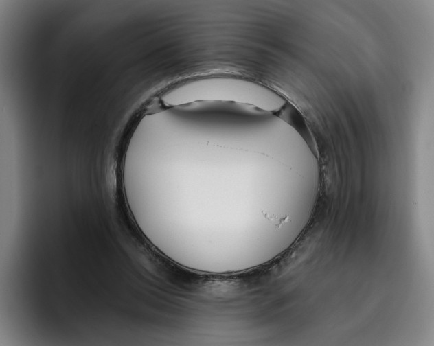 X0000096150350200802151359