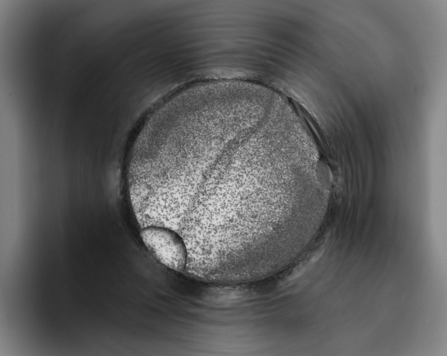 X0000096150351200802151359