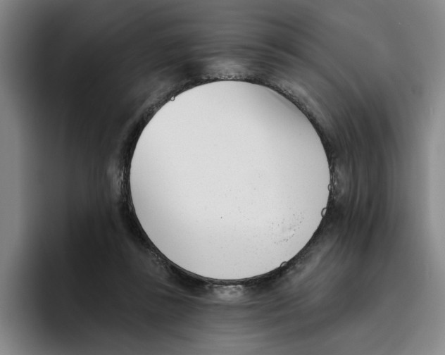 X0000096150355200802151359