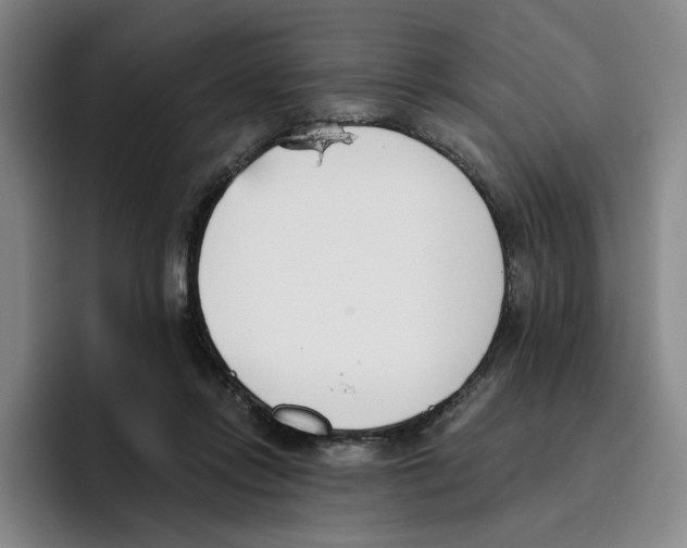 X0000096150358200802151359