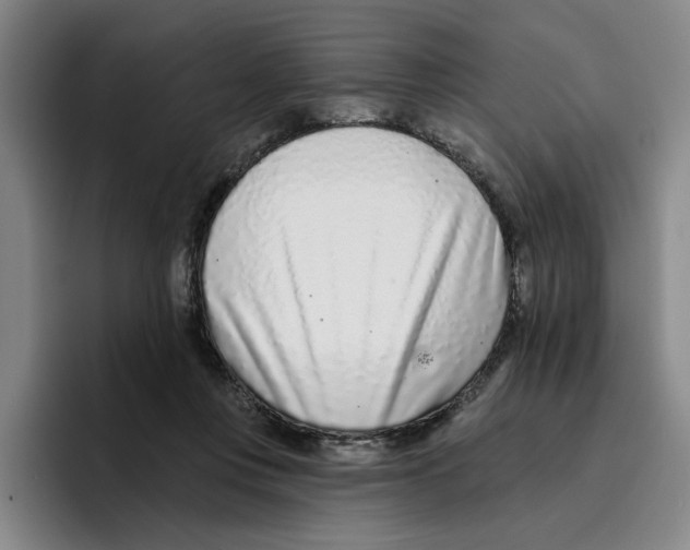 X0000096150359200802151359