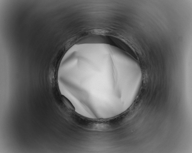 X0000096150360200802151359