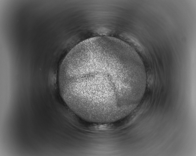 X0000096150365200802151359