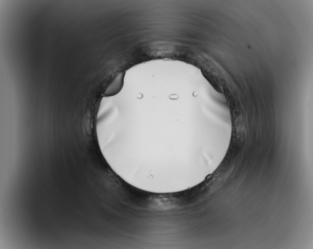 X0000096150372200802151359