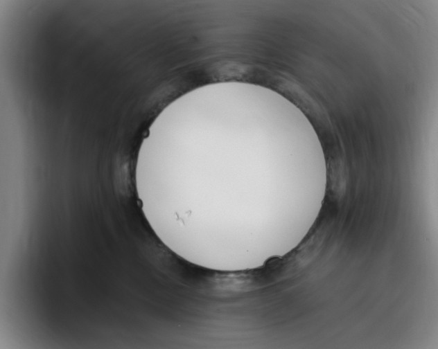 X0000096150378200802151359