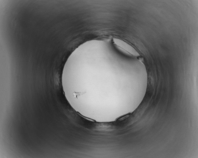 X0000096150380200802151359