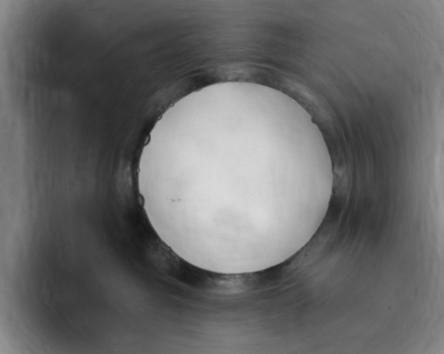 X0000096150381200802151359