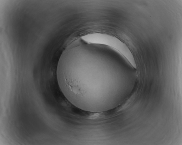 X0000096150382200802151359