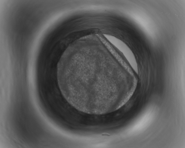 X0000096150383200802151359