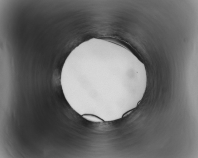 X0000096150384200802151359