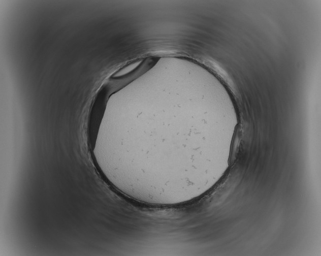 X0000096150385200802151359