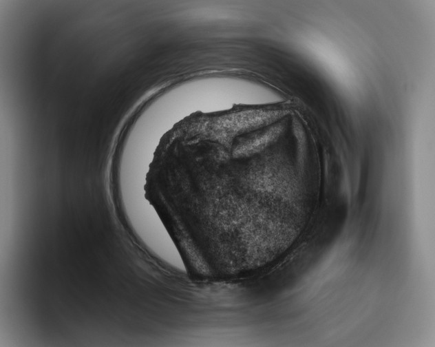 X0000096150387200802151359