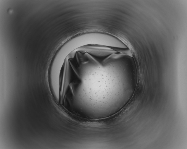 X0000096150389200802151359