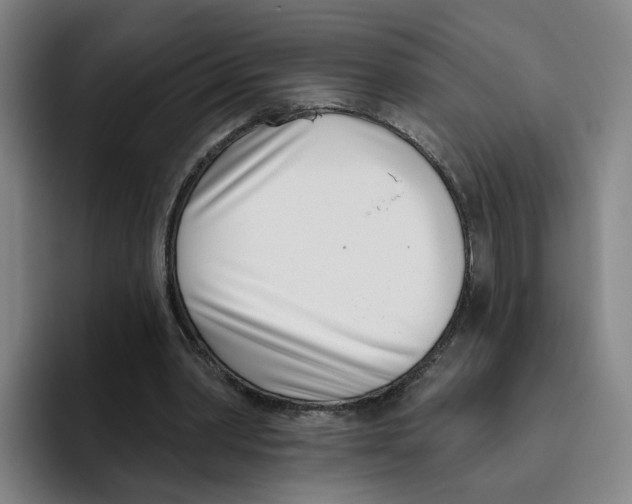 X0000096150390200802151359