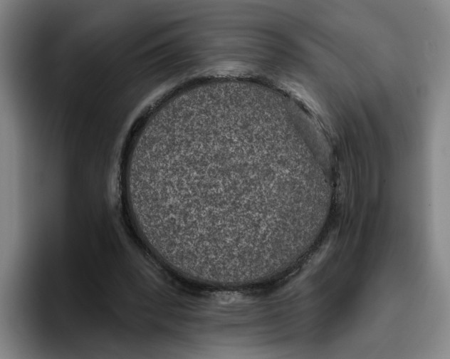 X0000096150392200802151358