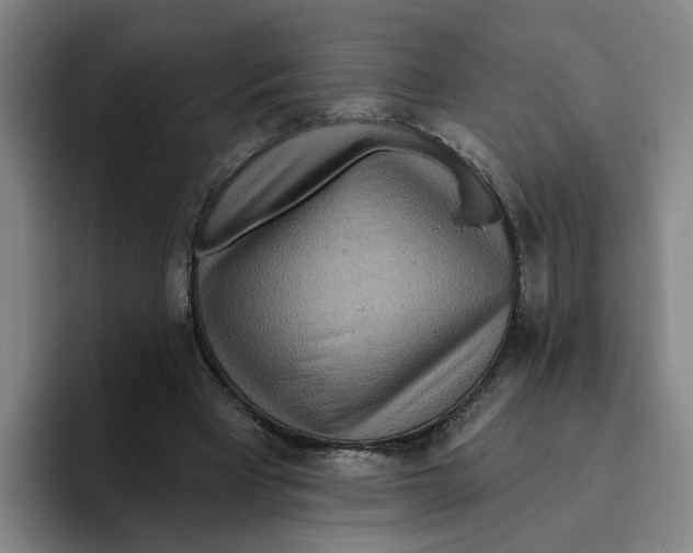 X0000096150393200802151358