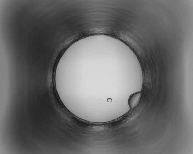 X0000096150394200802151358