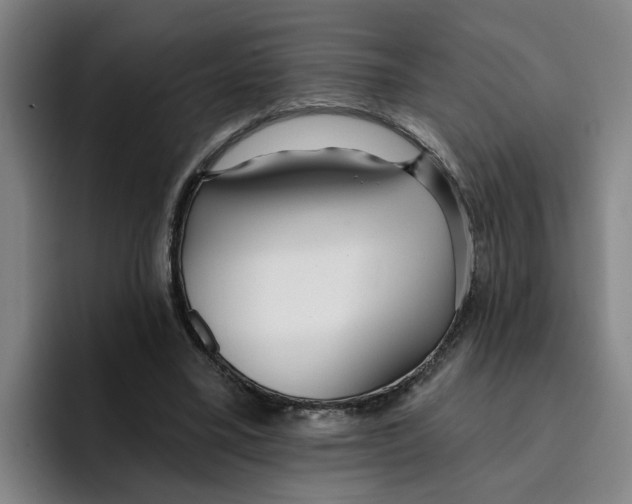 X0000096150395200802151358