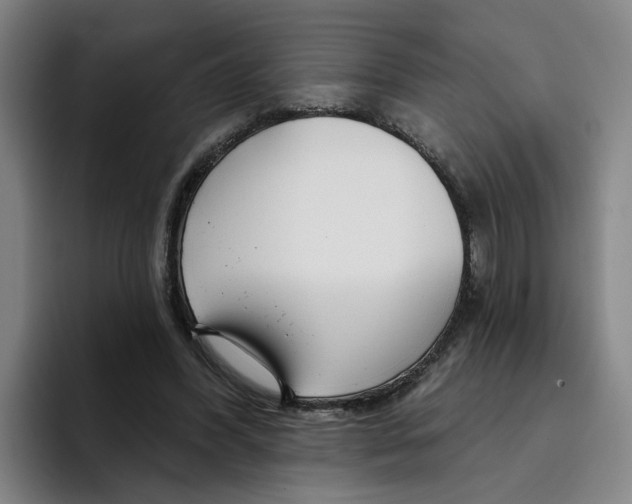 X0000096150396200802151358