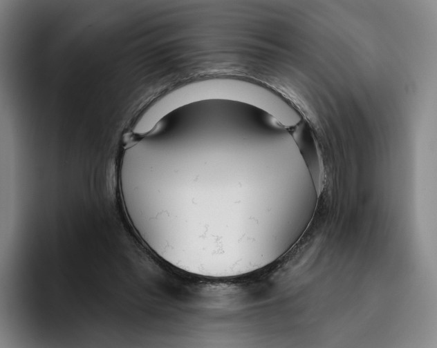 X0000096150397200802151358