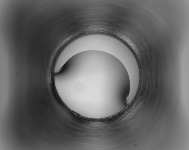 X0000096150399200802151358