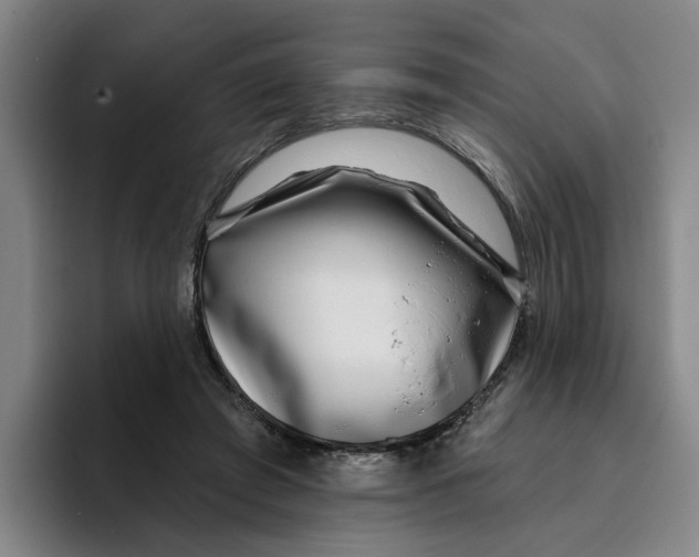 X0000096150401200802151358