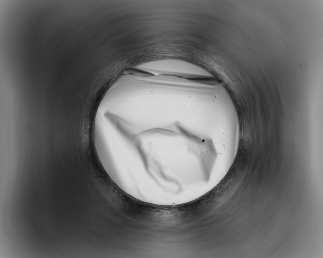 X0000096150402200802151358