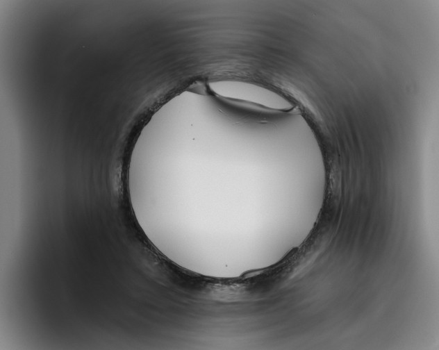 X0000096150403200802151358