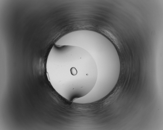 X0000096150405200802151358