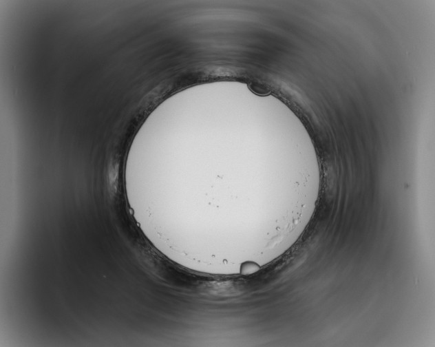 X0000096150406200802151358